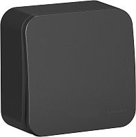 Переключатель накладной Systeme Electric Blanca 1-кл. проходной антрацит картинка